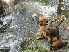  - Balade à la cascade des Moulines